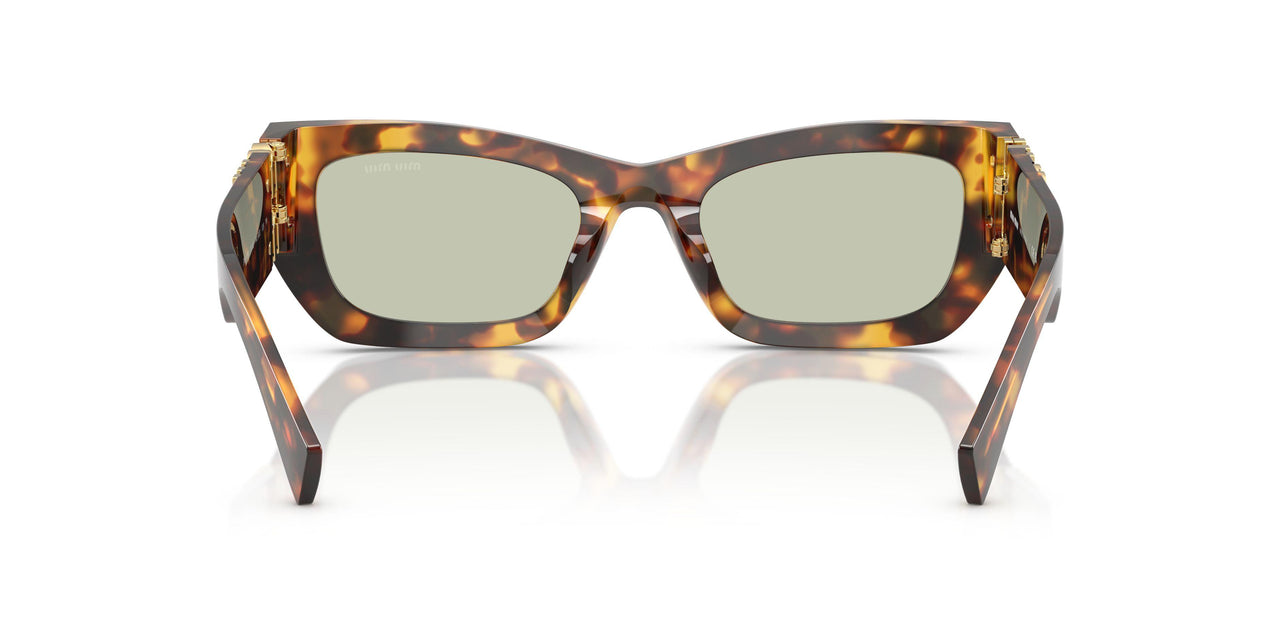 14L50O - Tortoise - Green