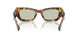 14L50O - Tortoise - Green