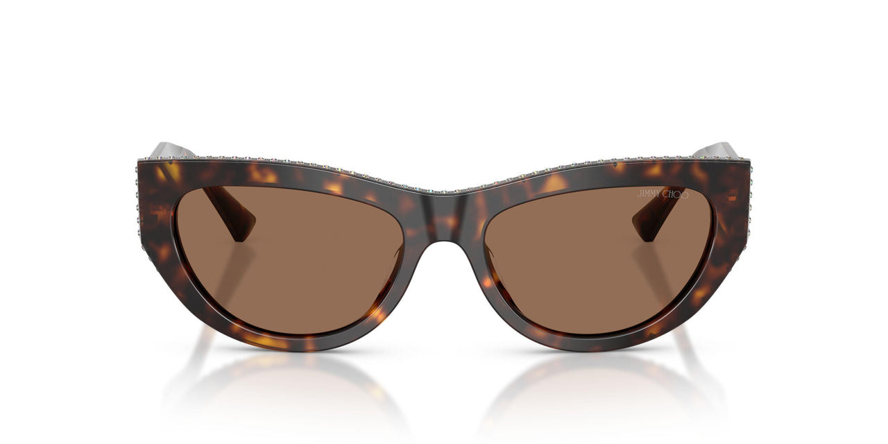 500273 - Tortoise - Dark Brown
