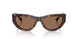 500273 - Tortoise - Dark Brown