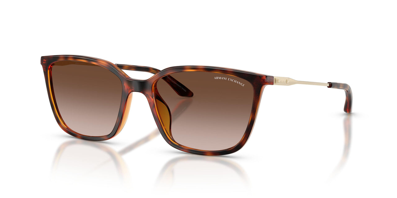 821313 - Tortoise - Brown Gradient
