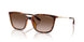821313 - Tortoise - Brown Gradient
