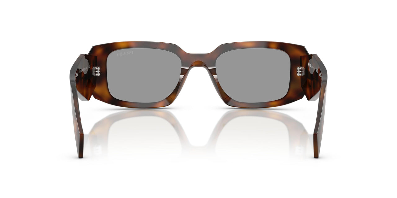 20D50Q - Havana - Grey
