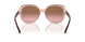 286414 - Transparent Pink - Pink gradient brown