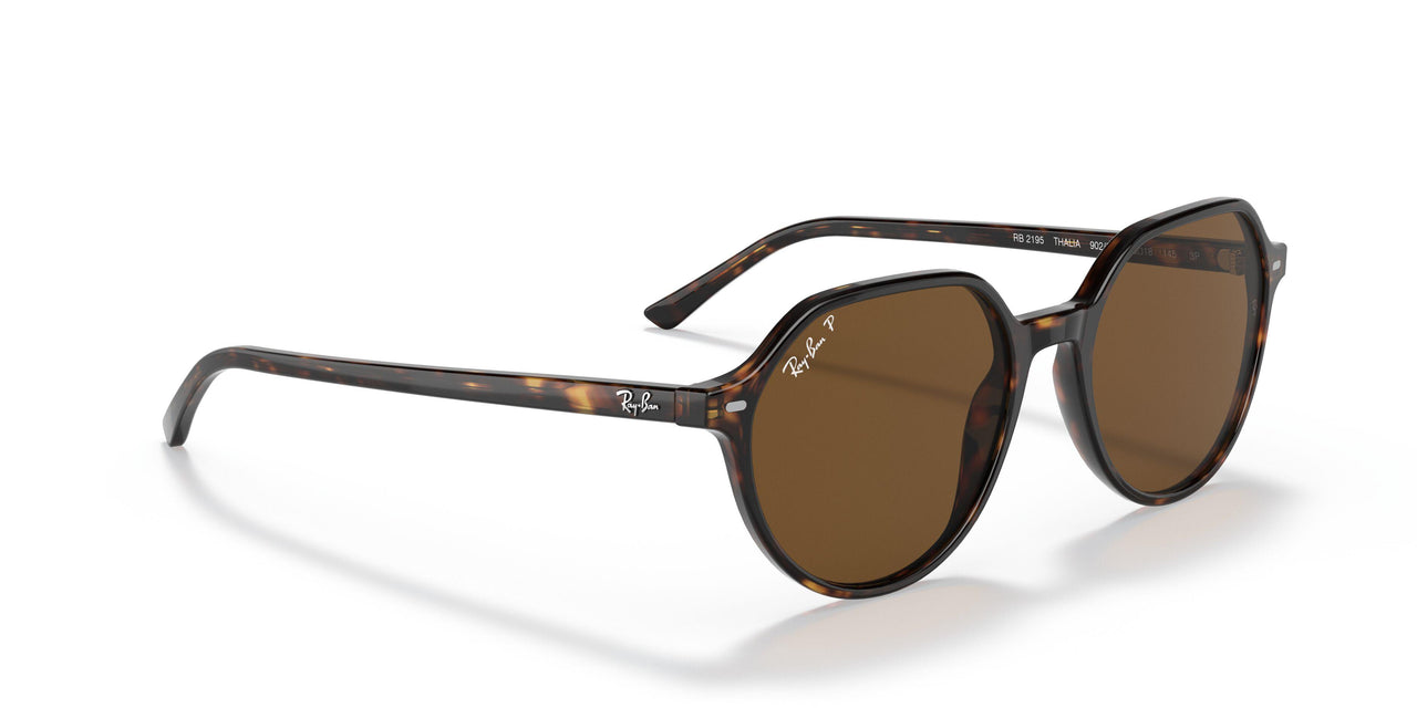 902/57 - Havana - Polar Brown