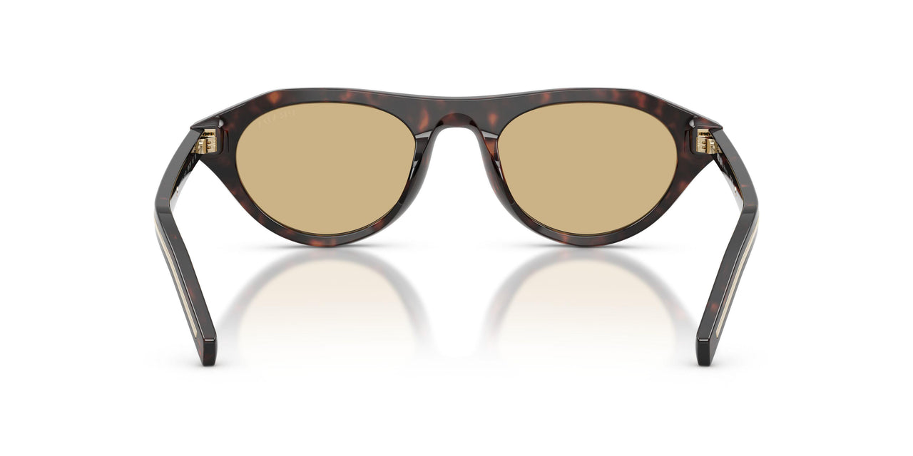 17N70R - Tortoise - Light Brown