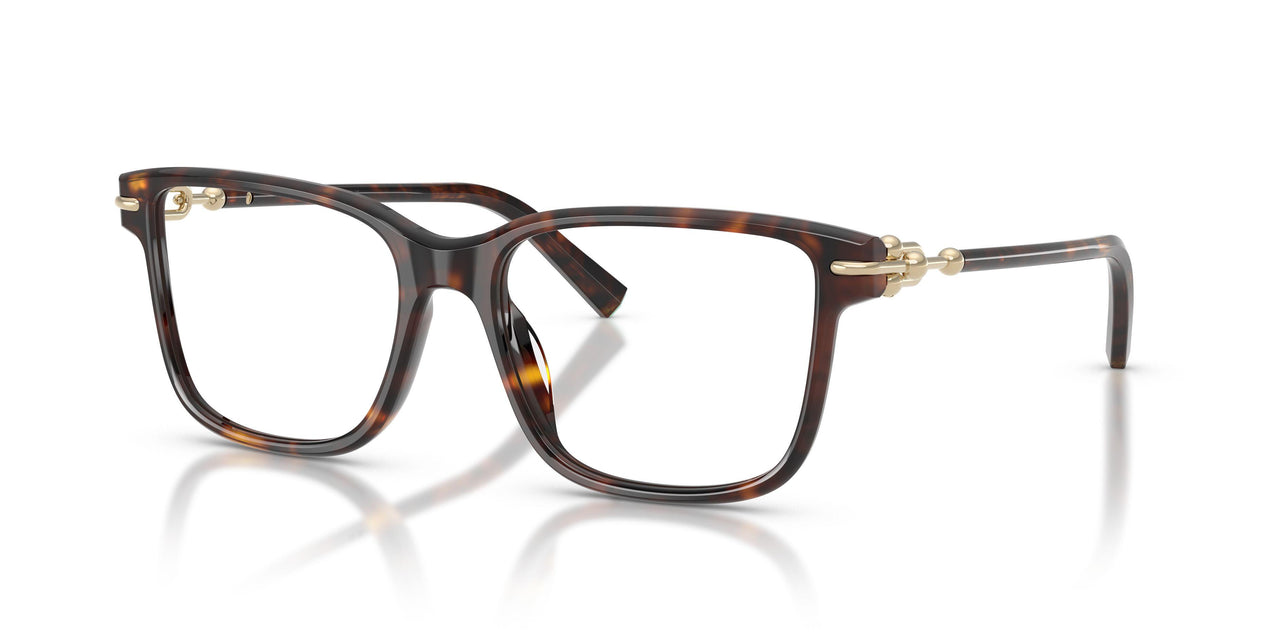 8015 - Tortoise