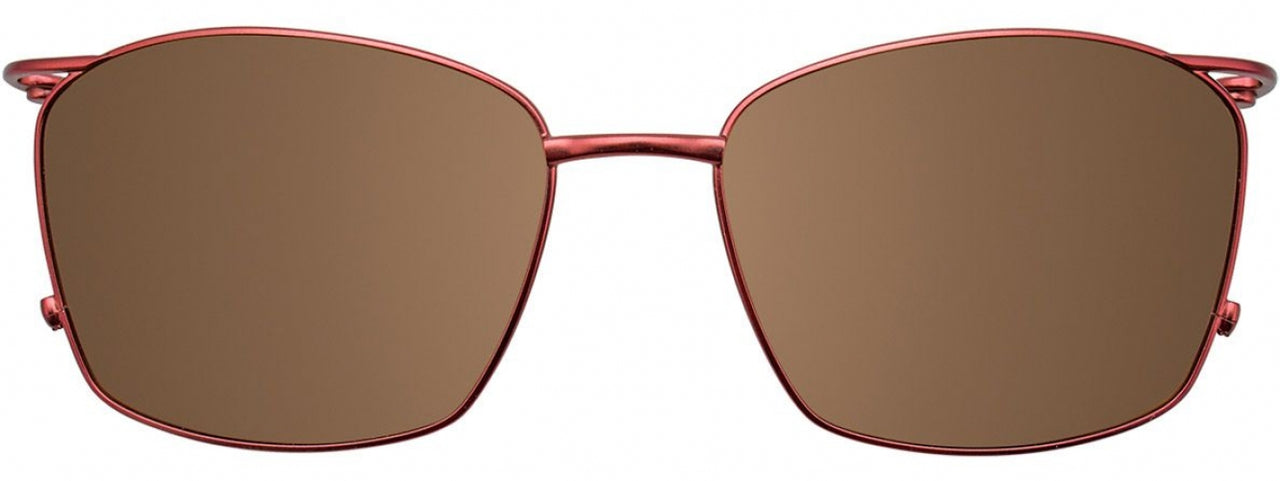 10 - Satin Dark Brown & Shiny Gold