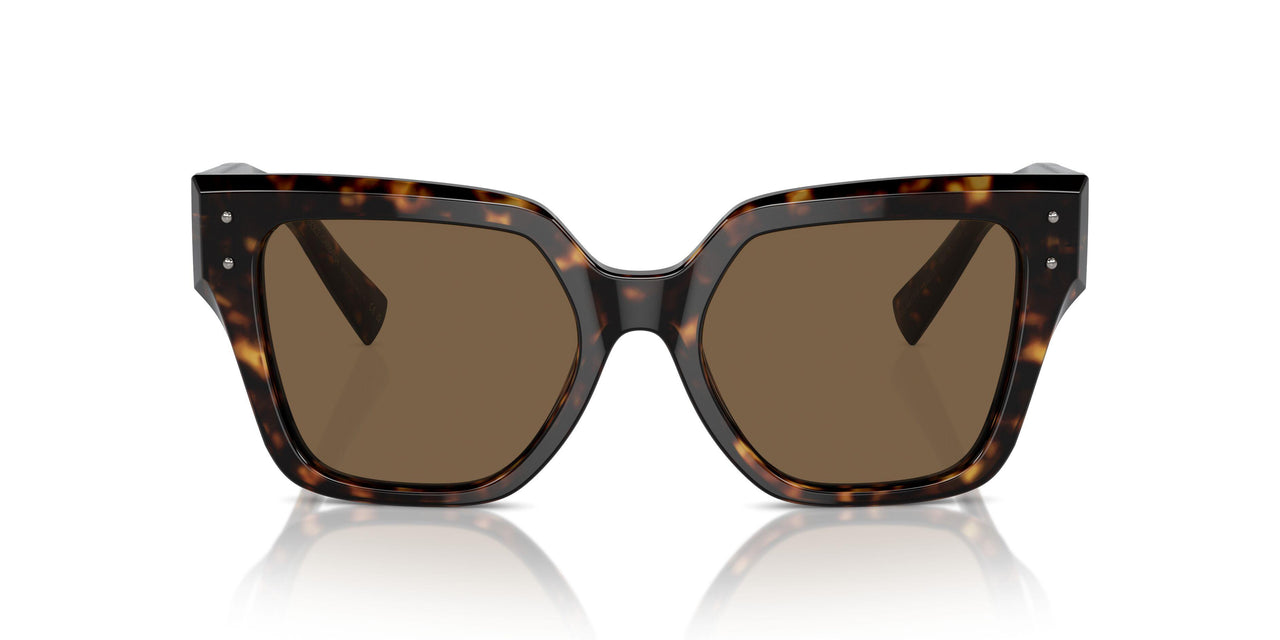 502/73 - Tortoise - Dark Brown