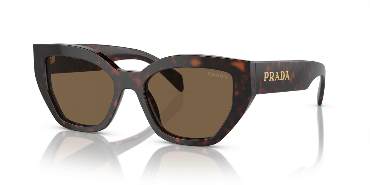 16N5Y1 - Briar Tortoise - Dark Brown