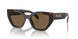 16N5Y1 - Briar Tortoise - Dark Brown