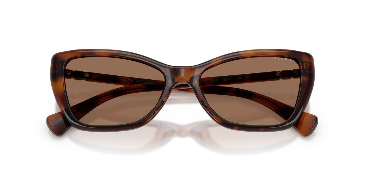 614973 - Tortoise - Brown