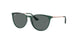 713081 - Green - Dark Grey