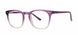 Modern Plastics II REPUTATION Eyeglasses