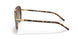 330413 - Havana - Brown Gradient