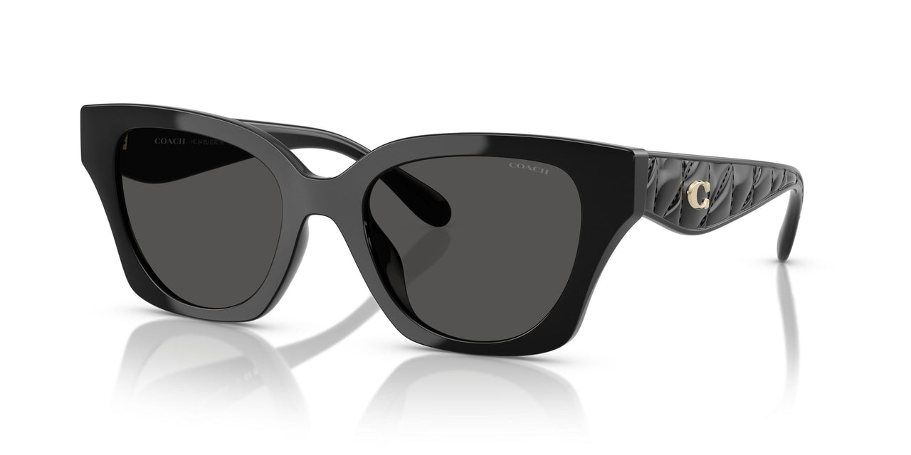 Coach Cad18 8418U Sunglasses