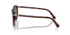 24/57 - Tortoise - Polar Brown