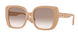 399013 - Brown - Brown Gradient