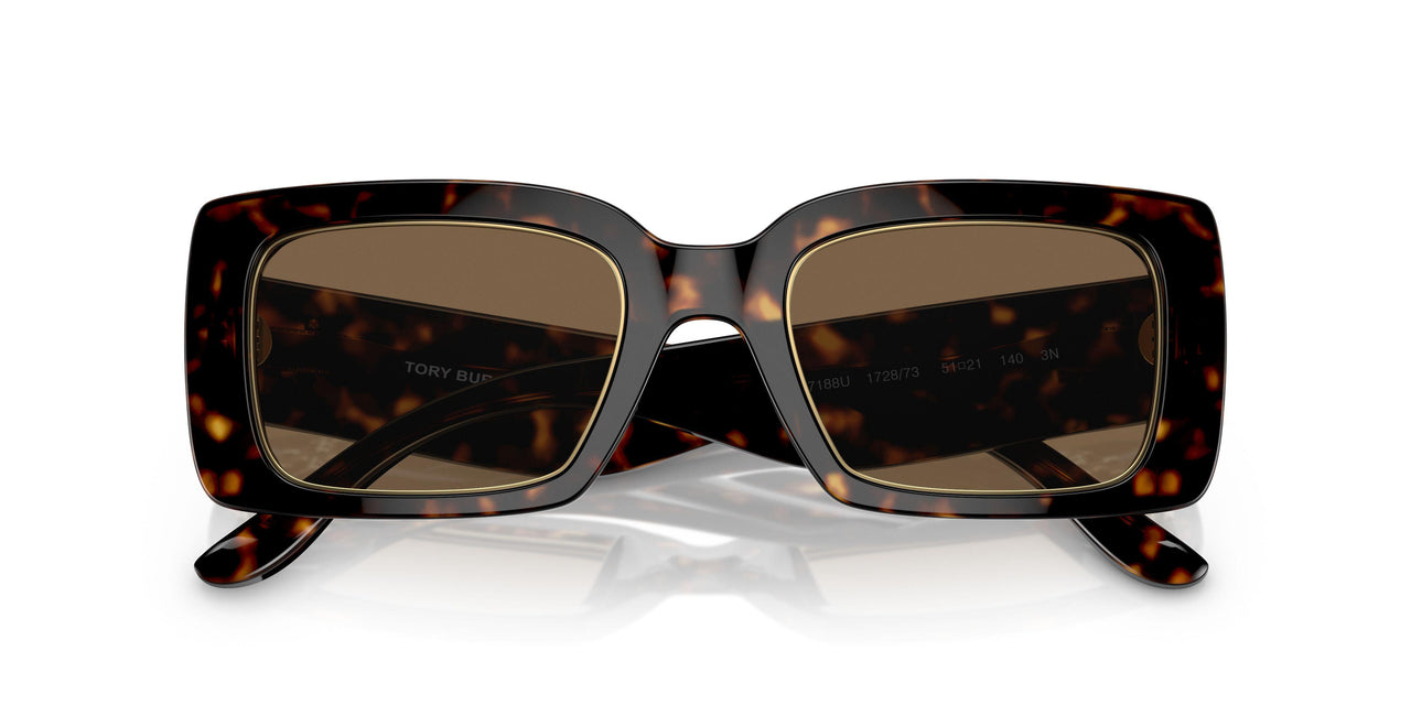 172873 - Tortoise - Dark Brown