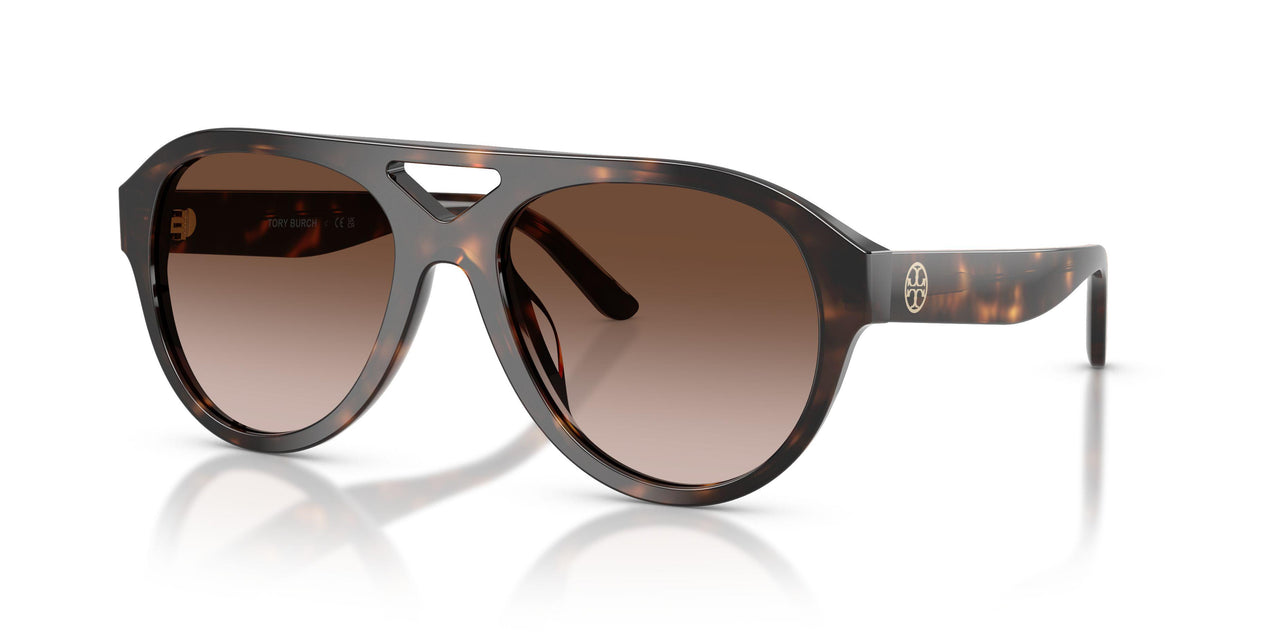 196413 - Tortoise - Brown Gradient