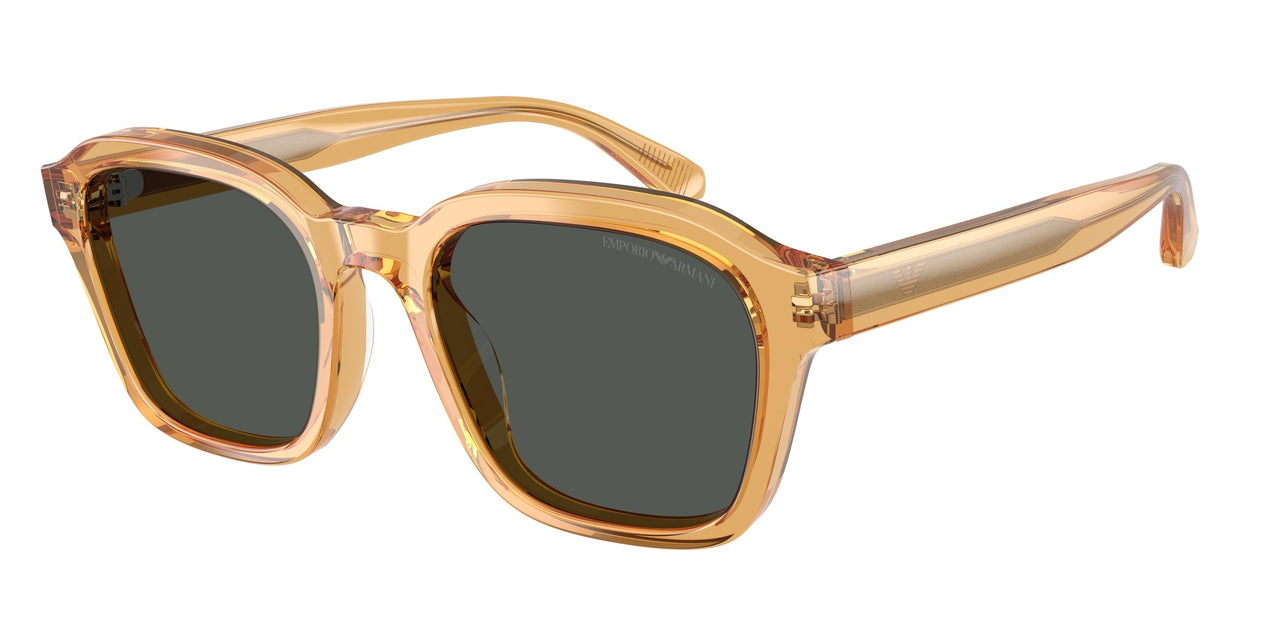 Emporio Armani 4245U Sunglasses