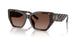 1728T5 - Tortoise - Brown Gradient Polar