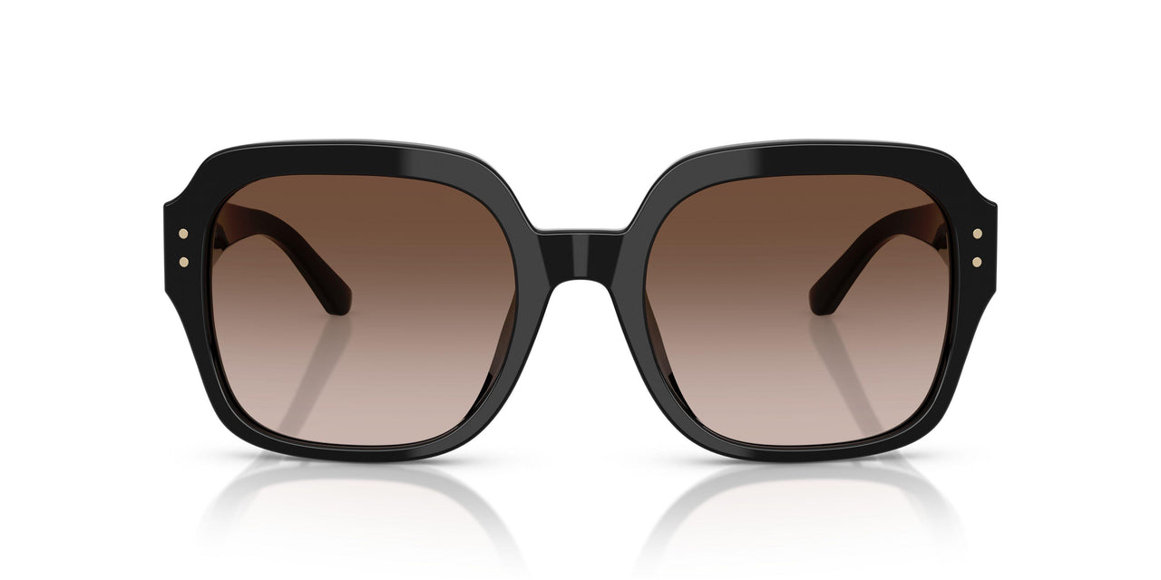 170913 - Black - Dk Brown Gradient