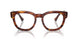2144 - Brown - Clear