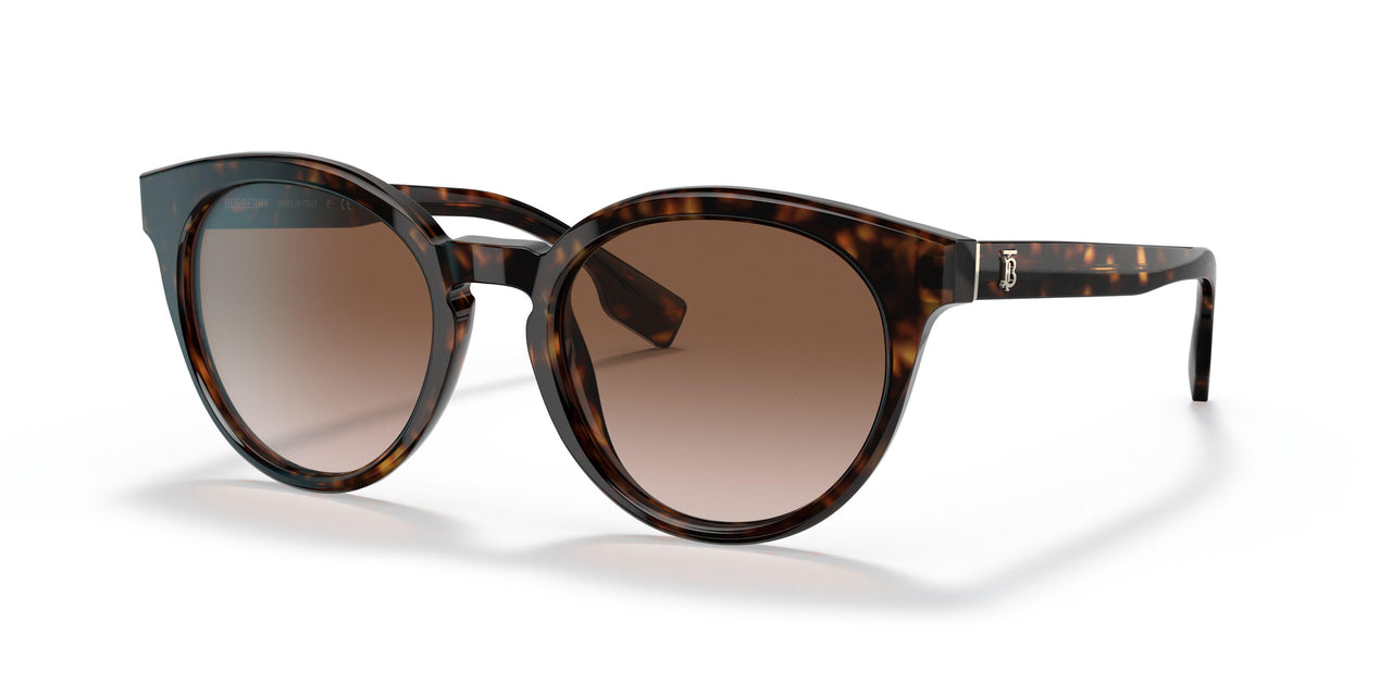 300213 - Havana - Brown Gradient