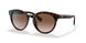 300213 - Havana - Brown Gradient