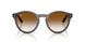 6707CB - Grey - Clear Gradient Brown