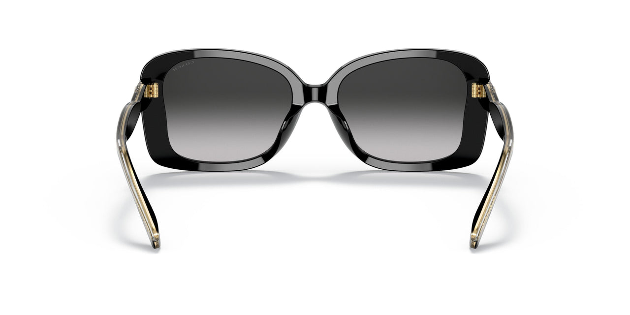 50023C - Black - Grey Gradient
