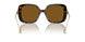 100283 - Tortoise - Polar Brown