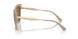 310183 - Brown - Dark Brown Polar