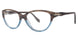 Brown - Brn Teal Fade