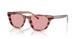 203684 - Brown - Light Violet