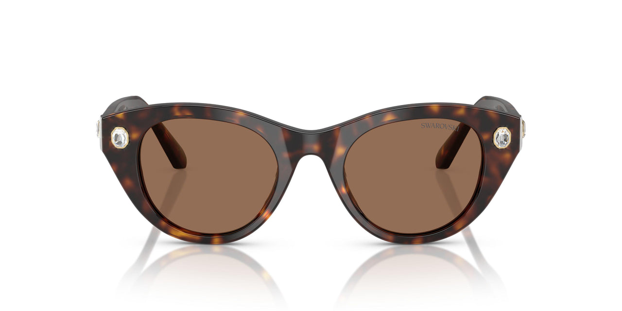 100273 - Tortoise - Dark Brown