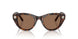100273 - Tortoise - Dark Brown