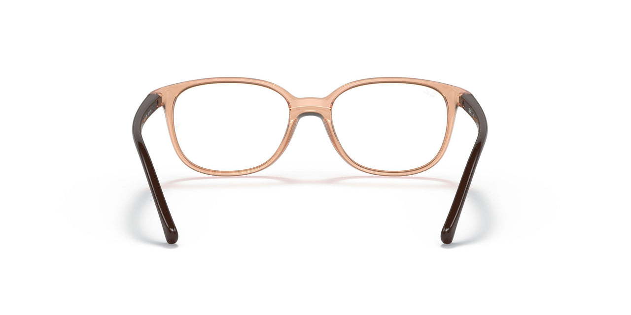 3899 - Brown