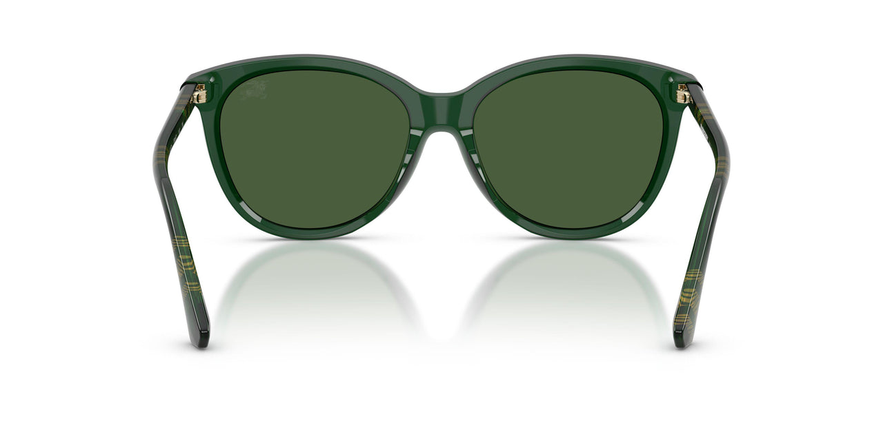 416271 - Green - Dark Green