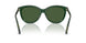 416271 - Green - Dark Green