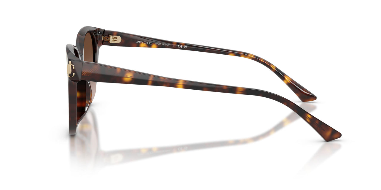 500213 - Tortoise - Gradient Brown