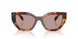 22A20I - Tortoise - Light Purple Brown