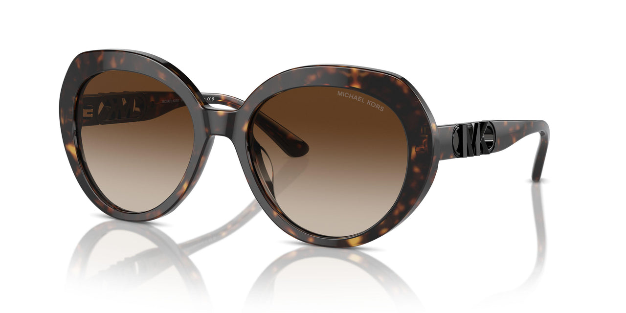 300613 - Tortoise - Brown Gradient