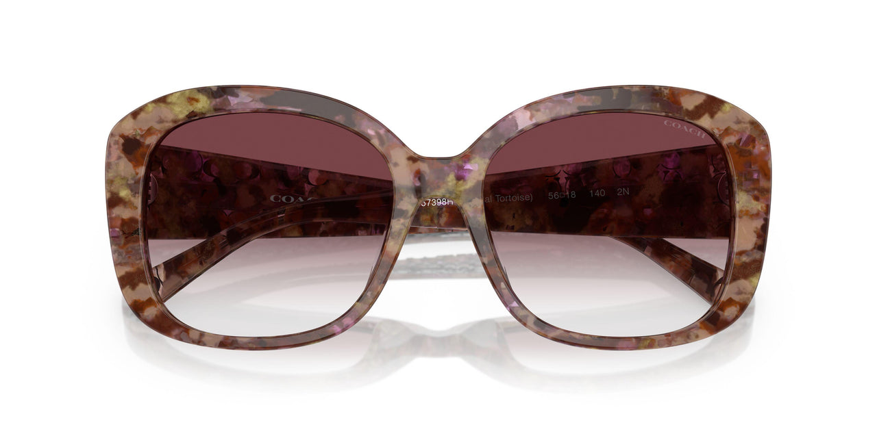 57398H - Tortoise - Purple Clear Gradient