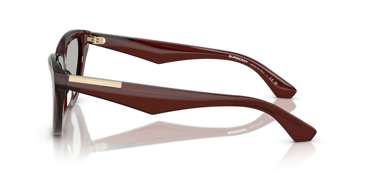 41448V - Brown - Clear Mirror Silver 80