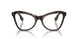 3002 - Brown
