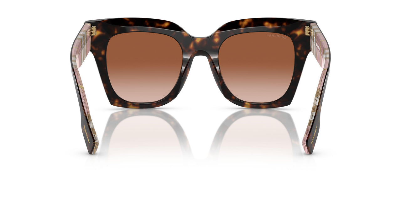 407513 - Brown - Brown Gradient