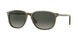 114271 - Green - Light Grey Gradient Dark Grey