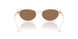 579073 - White - Brown Solid